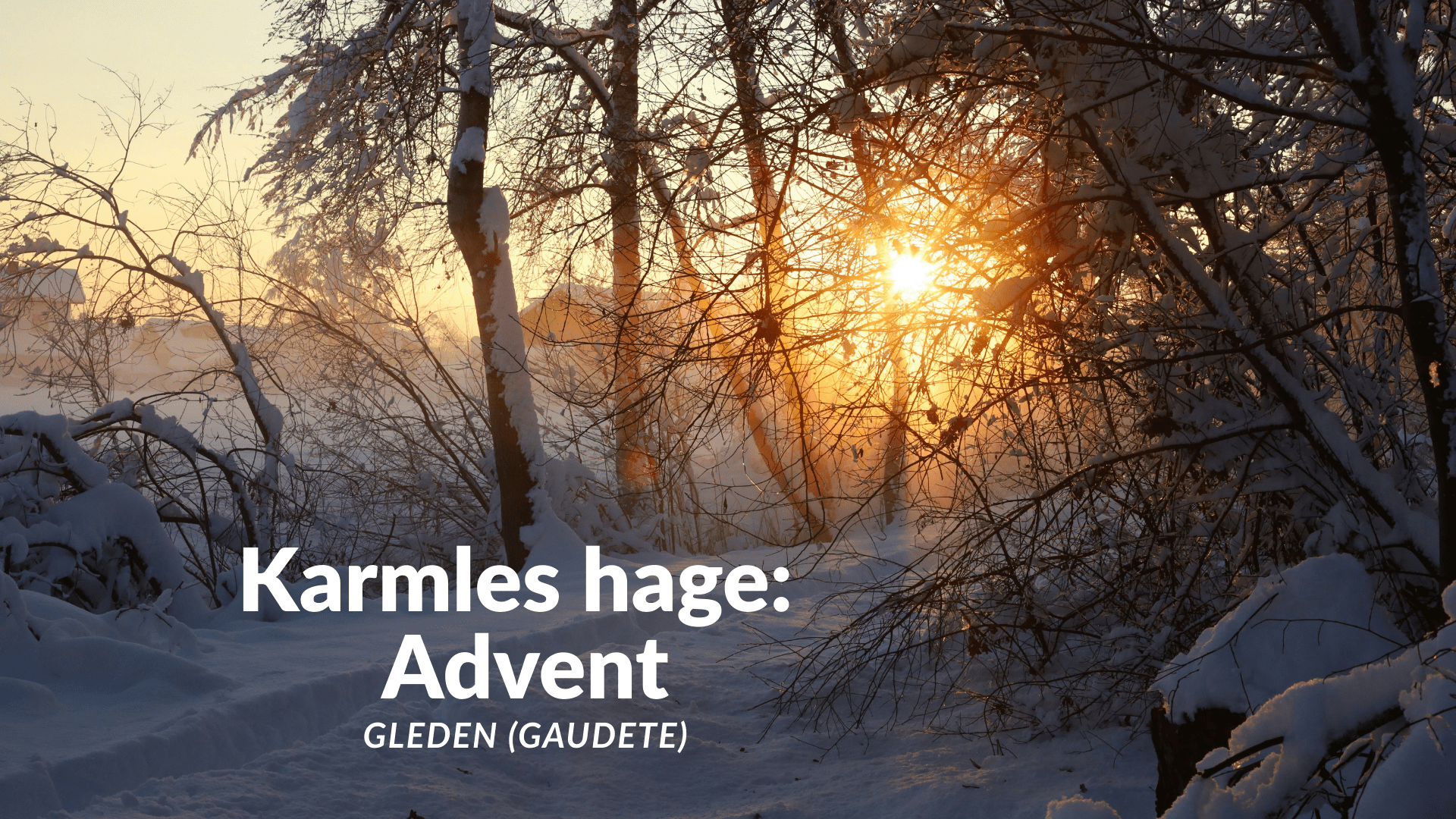 Karmels hage