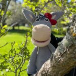 Veien til Eli – eselet som lærer norske barn om troen