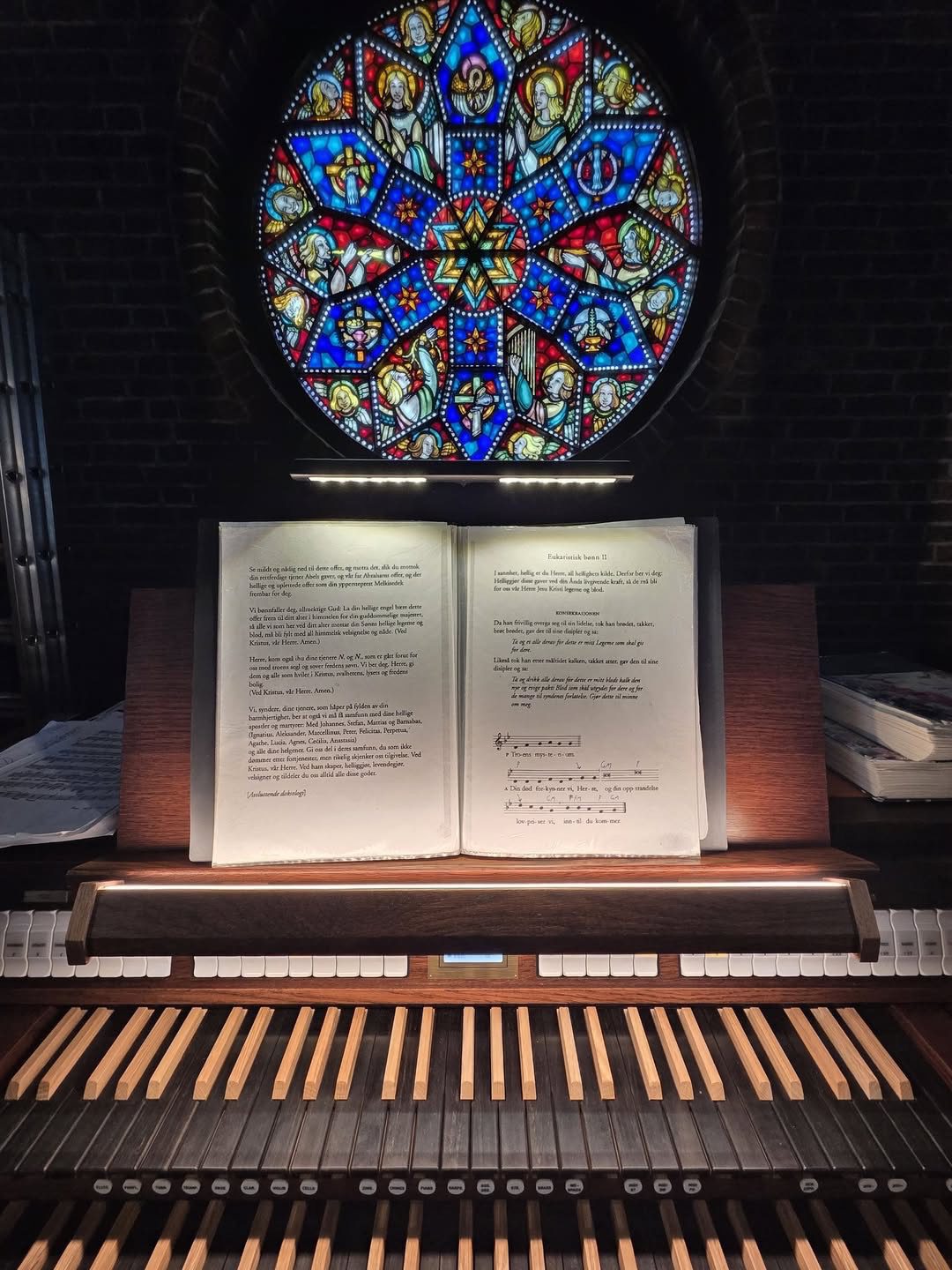 Nytt orgel